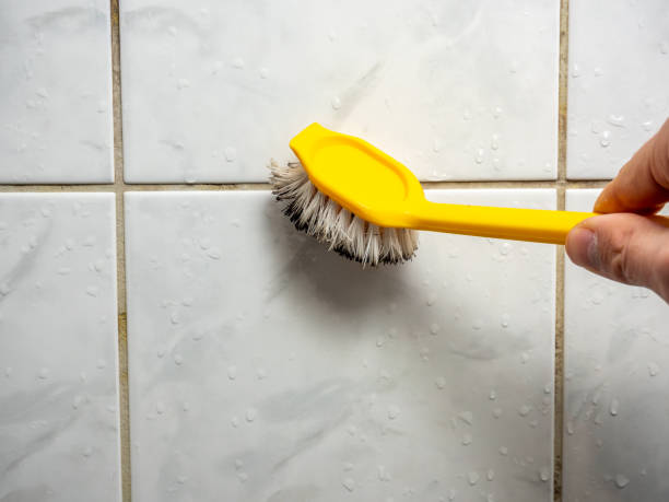 Best Attic Mold Removal  in Bowling Green, FL