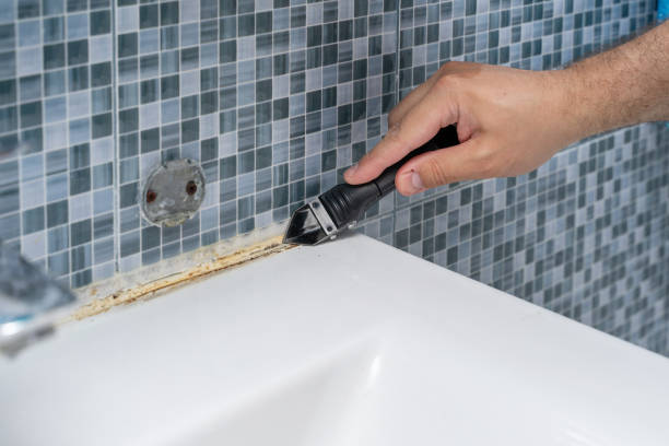 Best Mold Testing  in Bowling Green, FL