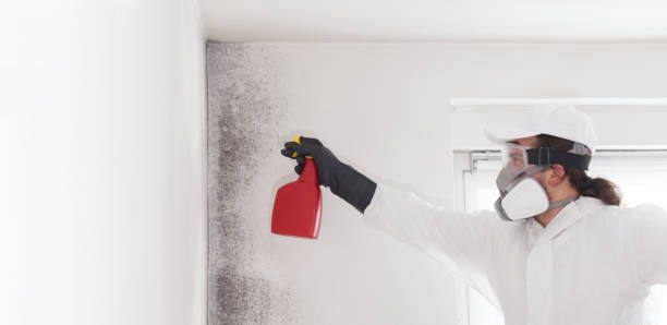 Crawl Space Mold Removal in Bowling Green, FL